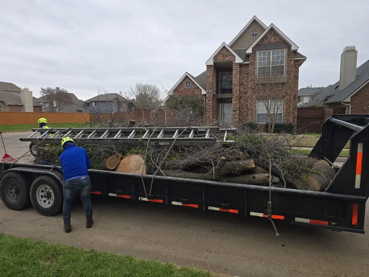 Expert Tree Pest Control with proper safety equipment in Rehoboth